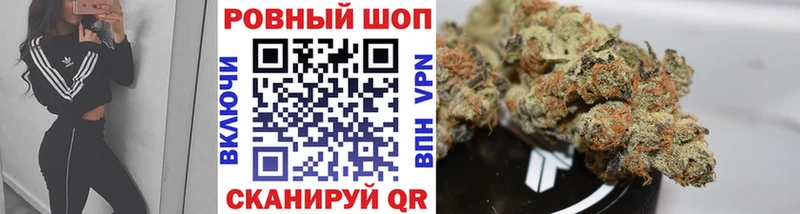 МЕФ Новосибирск