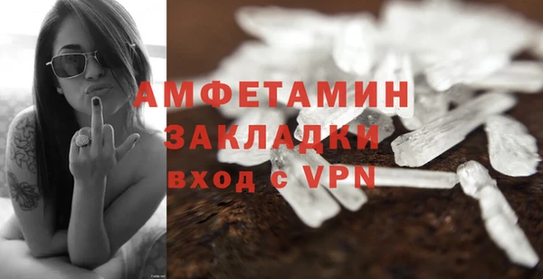 прущие грибы Абаза