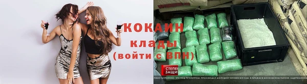 ПСИЛОЦИБИНОВЫЕ ГРИБЫ Алексин