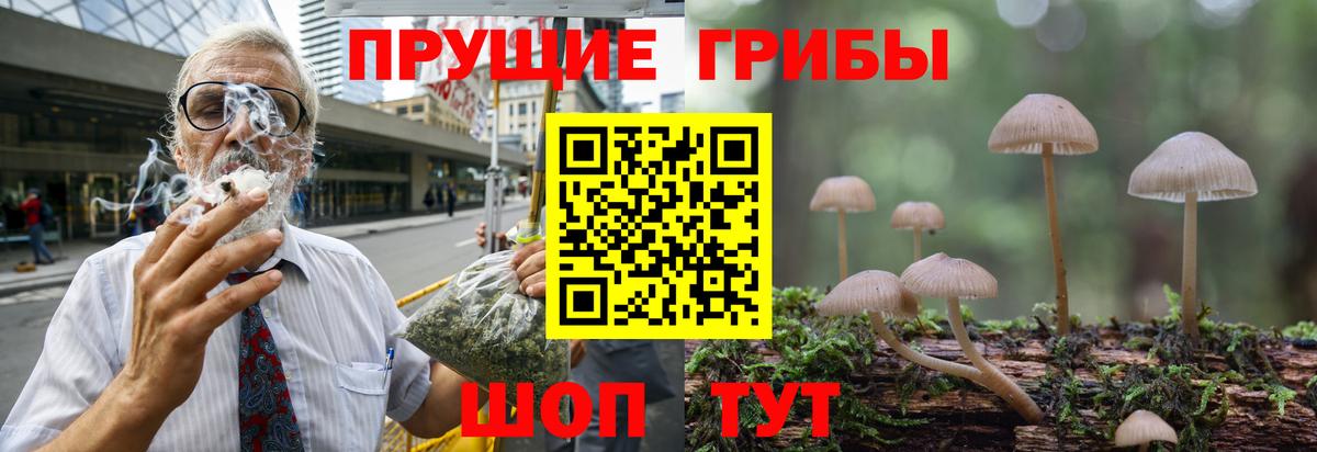 Галлюциногенные грибы прущие грибы Новосибирск