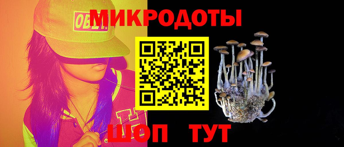 как найти наркотики  Галлюциногенные грибы Psilocybine cubensis  Вход с VPN  Новосибирск 